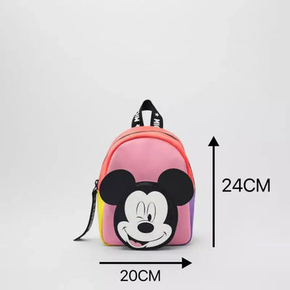 Disney Bag